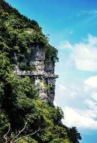 朝陽出發，龍頭山藏何景？