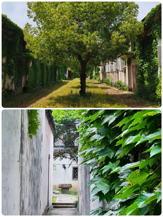 江南水鄉天花板！1500年的梅花洲，人少景絕！
