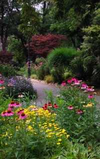 青島中山公園花溪谷