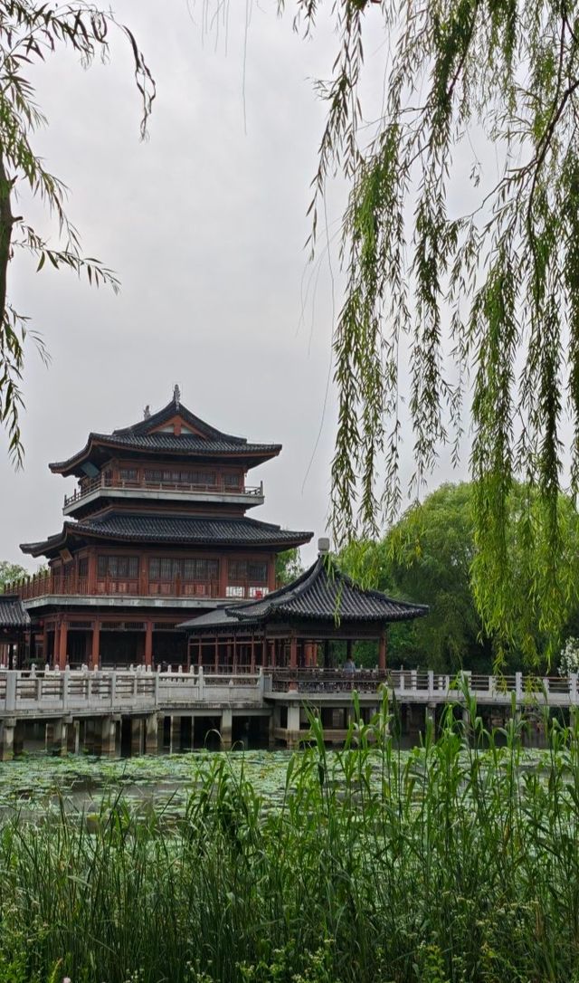 三日漫遊蘇州：跟住呢份攻略，食遍時鮮，玩轉清涼園林！