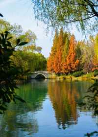 濟南森林公園 | 城市中的自然瑰寶