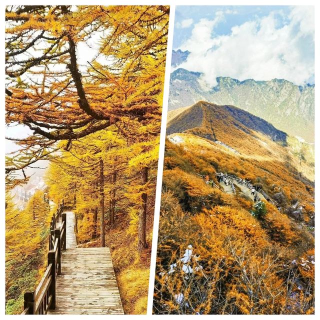 太白山超靚，但真心唔建議7月去，因為.........
