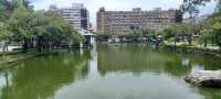台中公園見到玉山峰頂