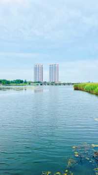 夏日暢遊煙台牟平沁水河口國家濕地公園