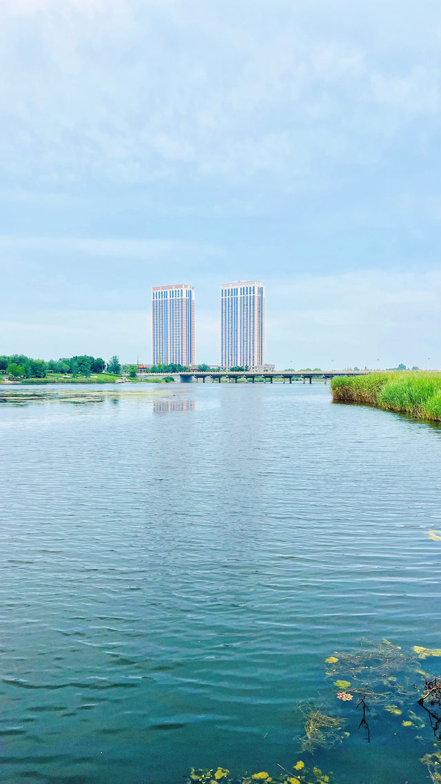 夏日暢遊煙台牟平沁水河口國家濕地公園