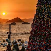 🎄聖誕唔知去邊好？香港呢6個打卡位靚到爆！
