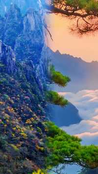 登黃山：一場與自然的靈魂對話