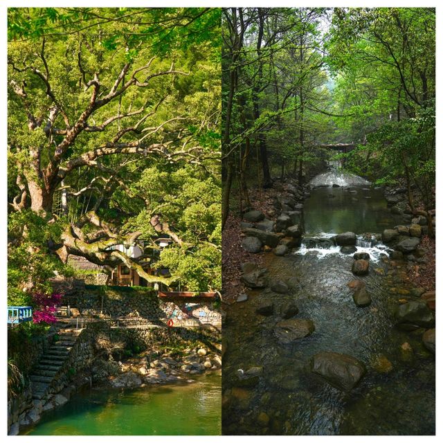 現實版《富春山居圖》的三日兩夜之旅