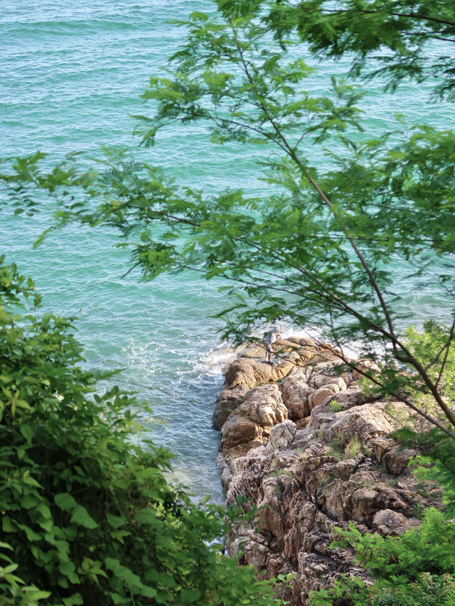 深圳免費小眾海岸線｜徒步&海景控必衝