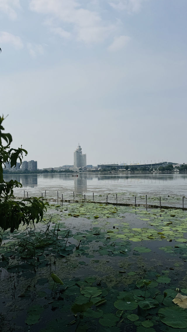 喺玄武湖梁州，撞見南朝嘅風/南京玄武湖（一）