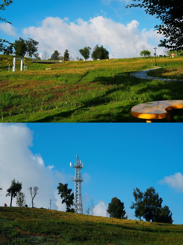 江浙滬staycation帶娃住進海島忘憂村