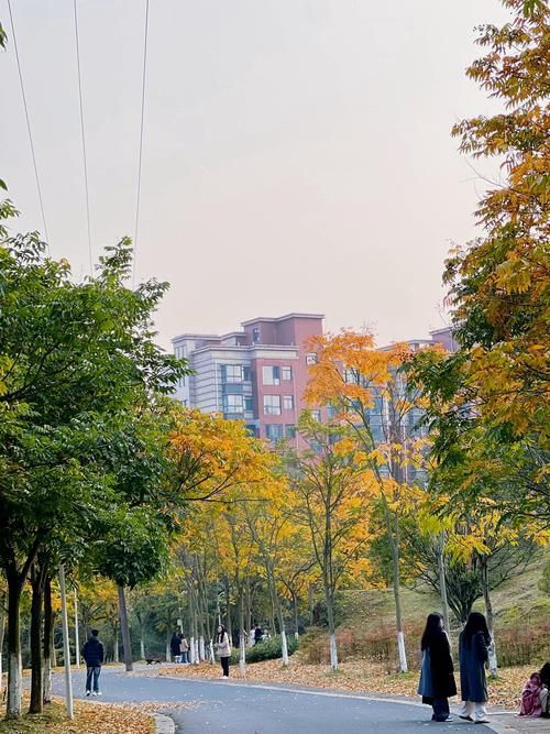 【宜陽森林公園暴走攻略】承包宜春人嘅「城市綠肺」，吸氧、遛娃、影靚相一網打盡！   一入園就被滿眼綠