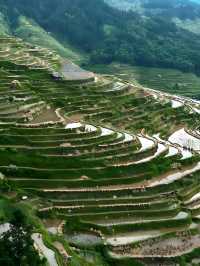 加榜梯田漫遊：在層層綠意裡拾光而行 