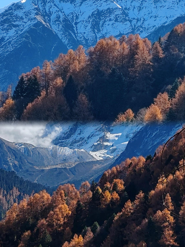 西藏林芝｜被低估嘅寶藏地！雪山桃花藏寨，隨手一拍就係大片！