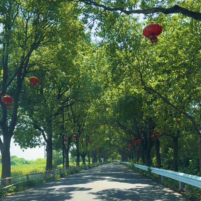 🚗🌊 Dianshan Lake & Panlong Tiandi Day Trip (Shanghai)*