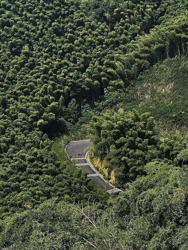 茶園竹林裡的隱世勝地