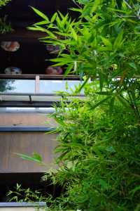 春山外湯屋入住攻略 | 選房指南+套餐解析+周邊玩法