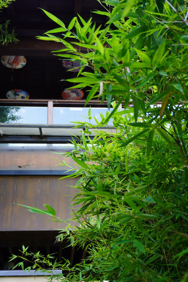 春山外湯屋入住攻略 | 選房指南+套餐解析+周邊玩法