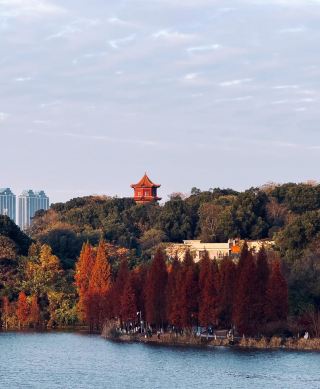 偉人故里·湘潭旅遊攻略 | 紅色文化+美食+自然風光一鍵收藏