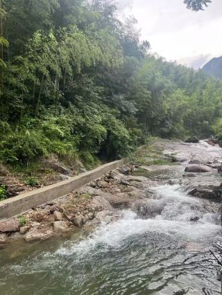 住進安吉山谷裡