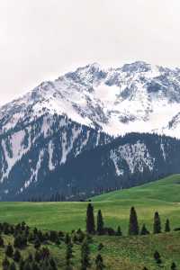 闖入恰西：喺雪山森林間，遇見最治癒嘅夏天