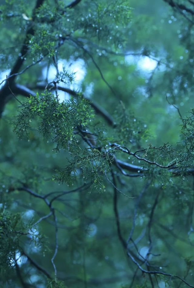 雨後獨享天壇秘境