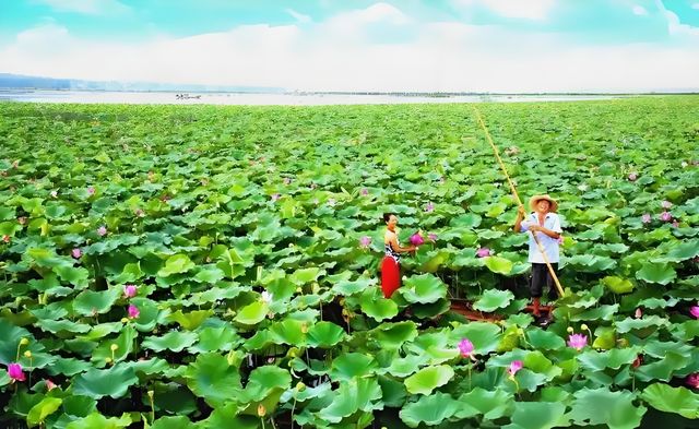 《金秋秘境！人均800蚊解鎖濟寧微山湖2日遊