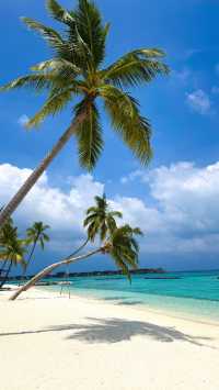 Paradise Found at The St. Regis Maldives