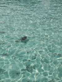 An Unforgettable Stay at Villa Park Sun Island