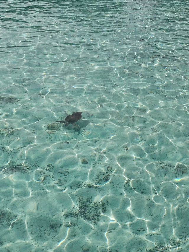 An Unforgettable Stay at Villa Park Sun Island