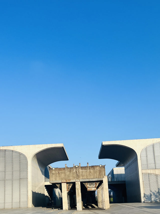 徐滙濱江西岸瘋狂動物城打卡地-寵物友好地標