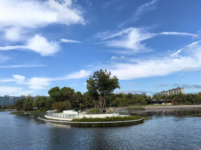 金海湖 金海湖