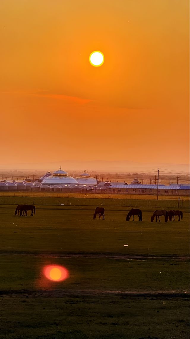 7天深度玩轉呼倫貝爾大草原騎馬馴鹿住蒙古包全體驗