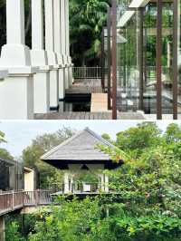 沙巴加雅島奢野秘境~婆羅洲頂級生態度假村攻略