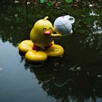 🦆 Fuxing Park: Charming Duck Sculptures in the French Concession
