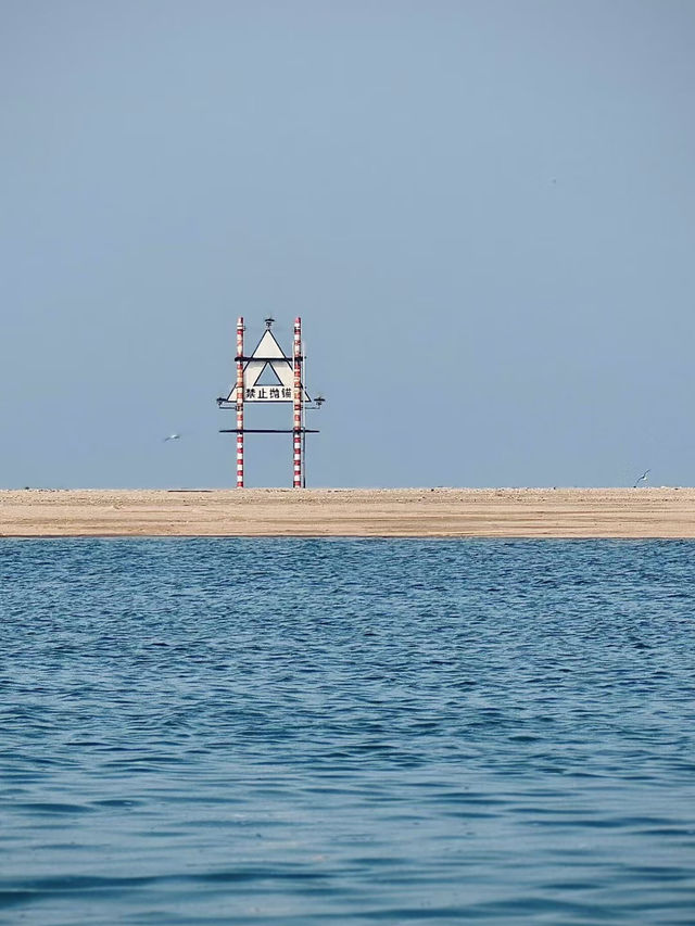 看鳥賞海感受大自然治癒  