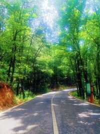 滇東秘境!曲靖深秋隱藏玩法上線,山水文化一鍵全含!