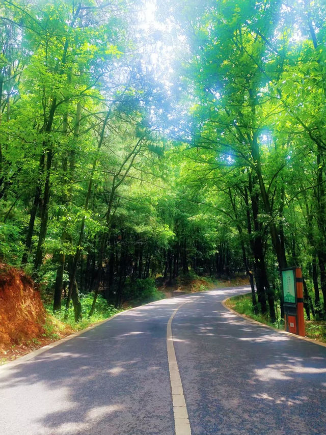 滇東秘境!曲靖深秋隱藏玩法上線,山水文化一鍵全含! 滇東秘境!曲靖深秋隱藏玩法上線,山水文化一鍵全含!