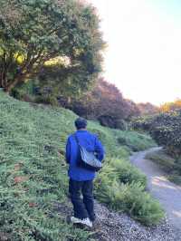 🕊️ Ikeda Hall Peace Garden: Where Japanese Serenity Meets New Zealand's Soul! 🌿