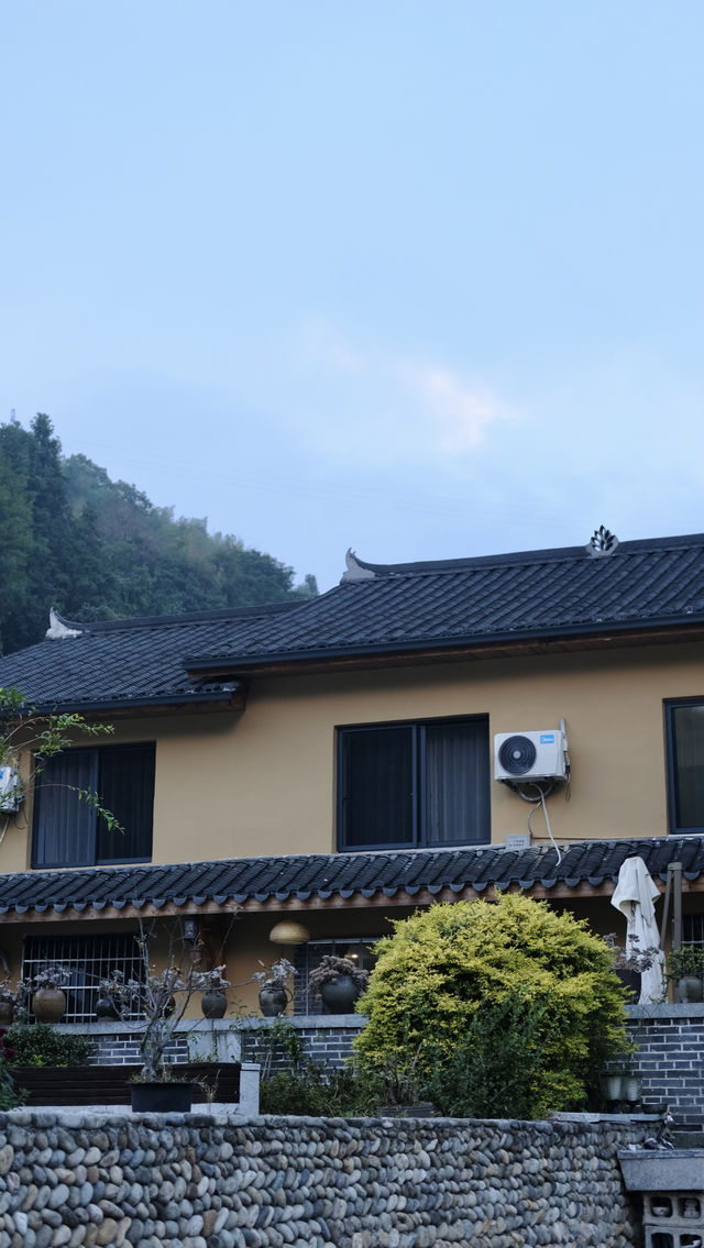 20歲失業不上班不社交在雲和梯田當民宿老闆