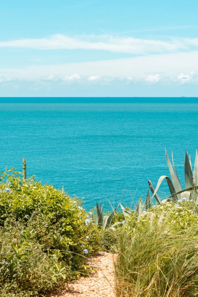 闖入現實版果凍海！潿洲島懸崖花園下午茶封神攻略