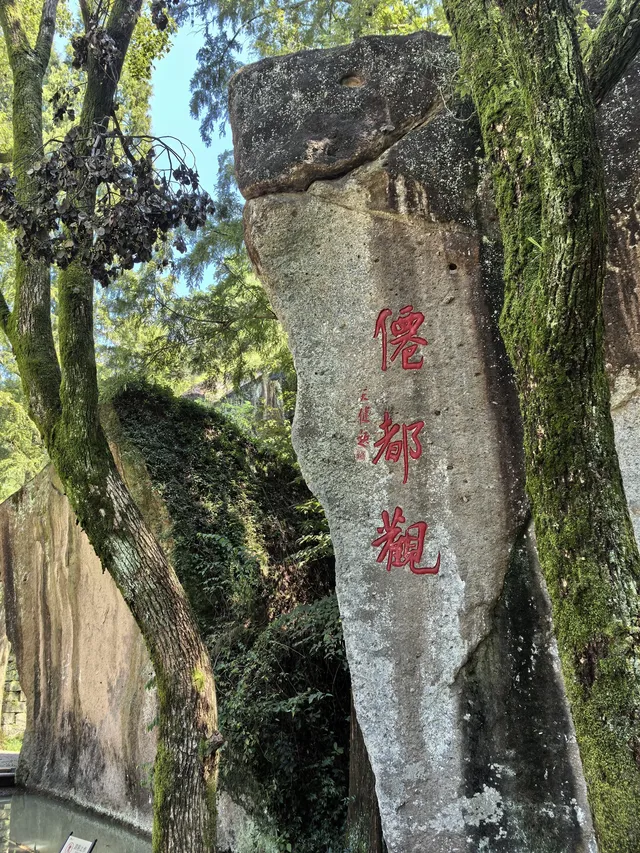 上海週末無車周邊遊∽不早起，不熬夜∽