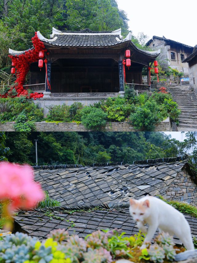 走進安順本寨：觸摸600年明代「活化石」的溫度