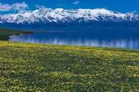 雪山湖畔最佳取景地