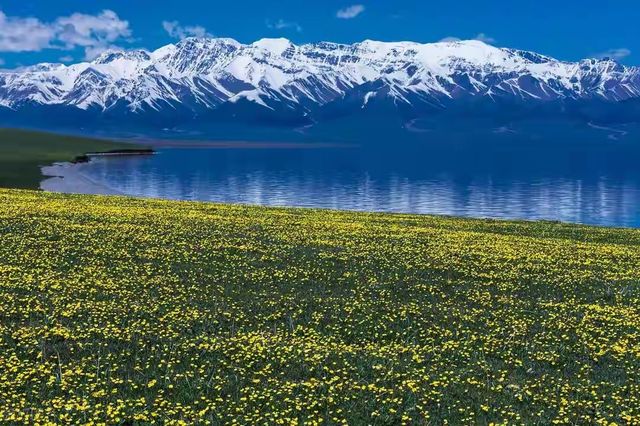 雪山湖畔最佳取景地 雪山湖畔最佳取景地