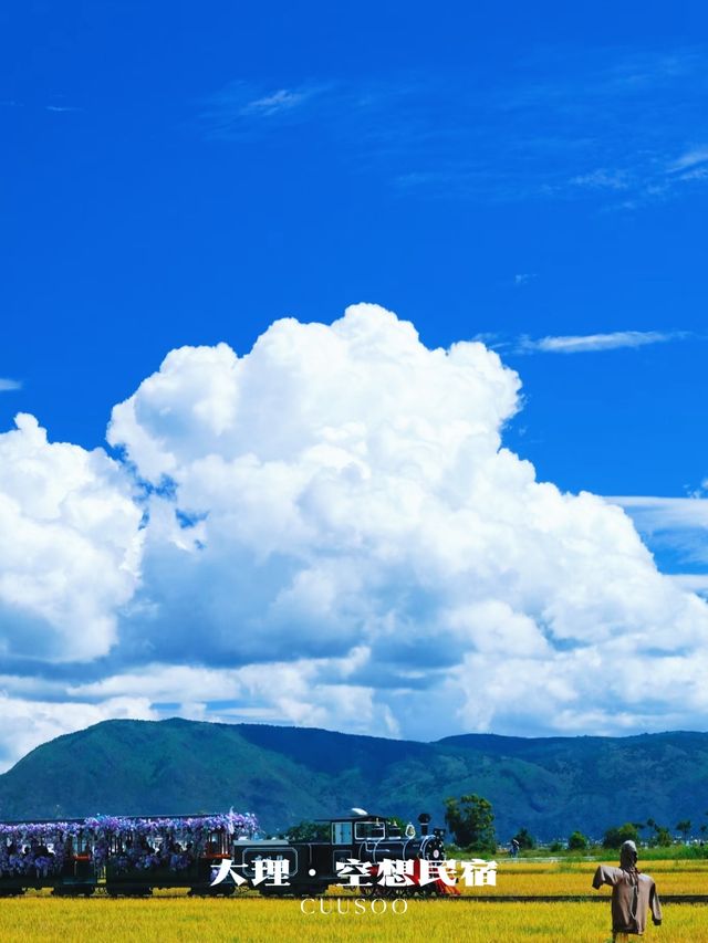 喜洲秋日｜在金色麥浪裡邂逅大理的溫柔