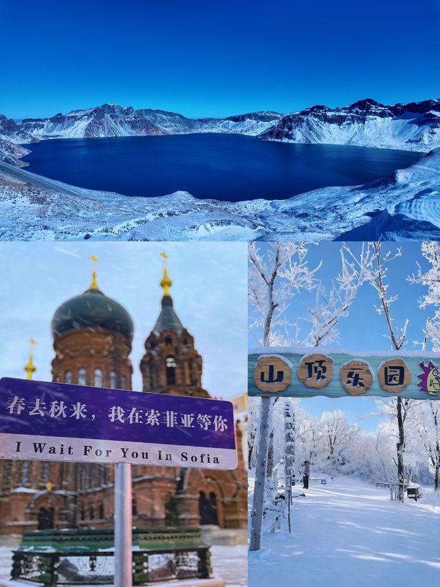 9天玩透東北帶娃超全攻略來啦 9天玩透東北帶娃超全攻略來啦