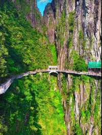 莽山五指峰東門攻略看這篇就夠了