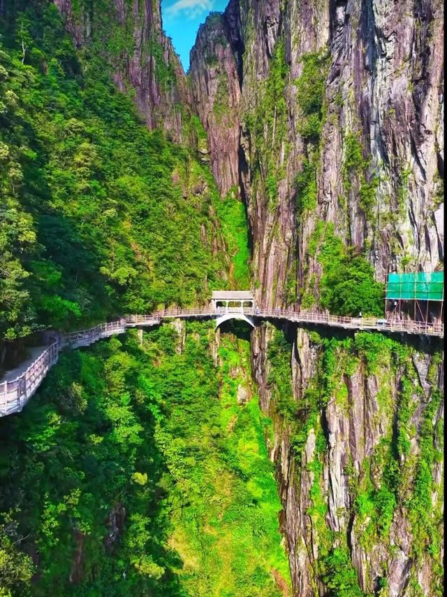 莽山五指峰東門攻略看這篇就夠了