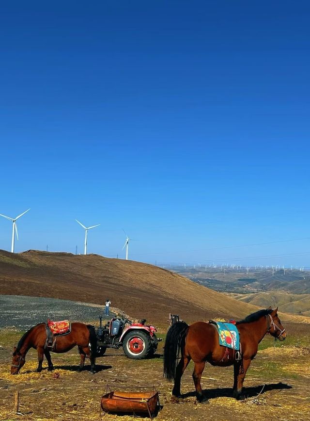 草原天路中段景色美極了,適合自駕遊 草原天路中段景色美極了,適合自駕遊